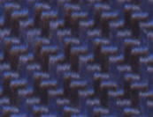 tor301