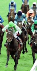 horse racing in ireland