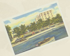 florida postcard.jpg (18903 bytes)