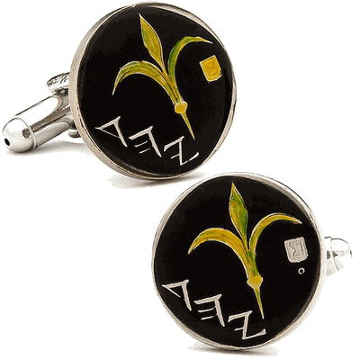 Hand Painted Israel Coin Cufflinks